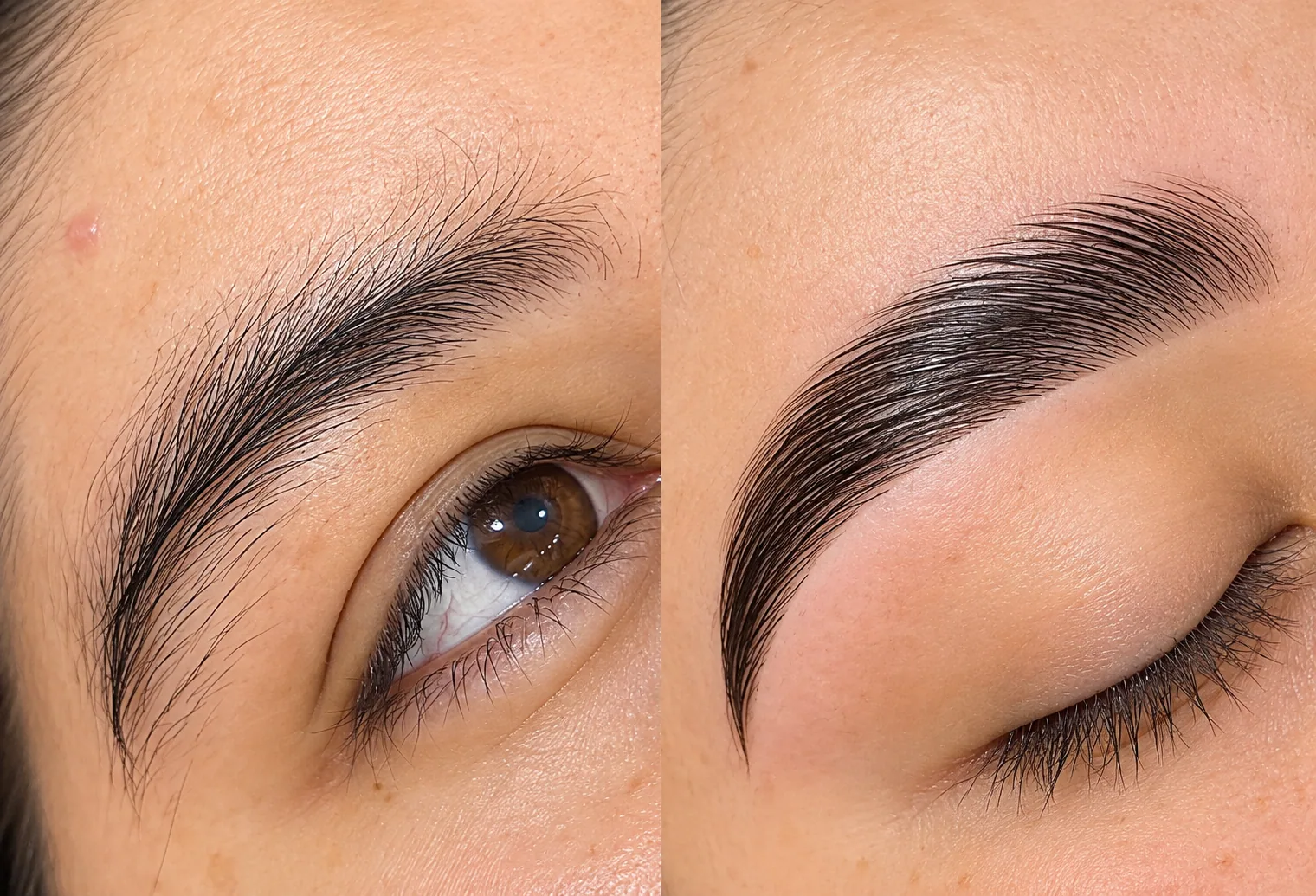 Cejas y Pestañas
